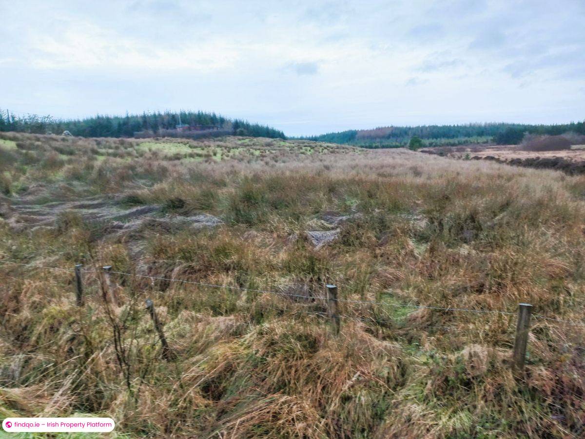 Agricultural Land for Sale in Kilkelly, Mayo
