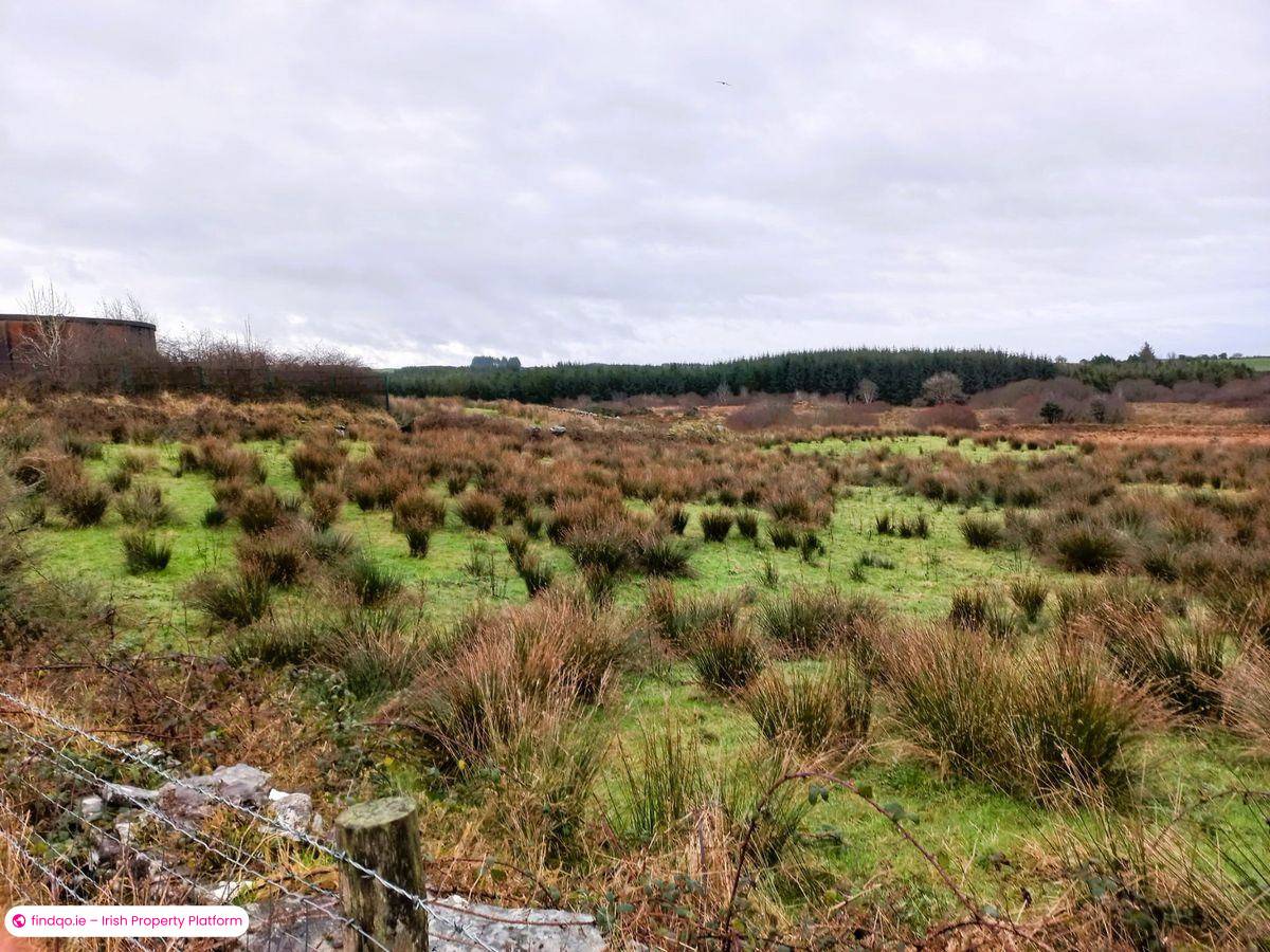 Agricultural Land for Sale in Kilkelly, Mayo