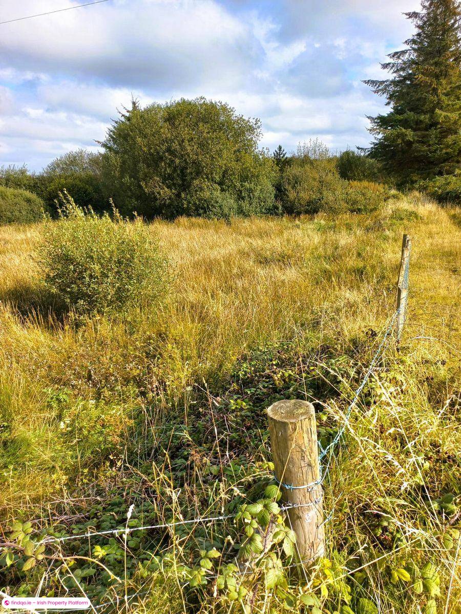 Agricultural Land for Sale in Swinford, Mayo