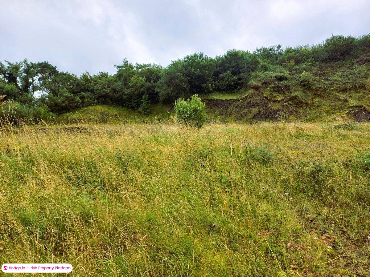 Agricultural Land for Sale in Swinford, Mayo