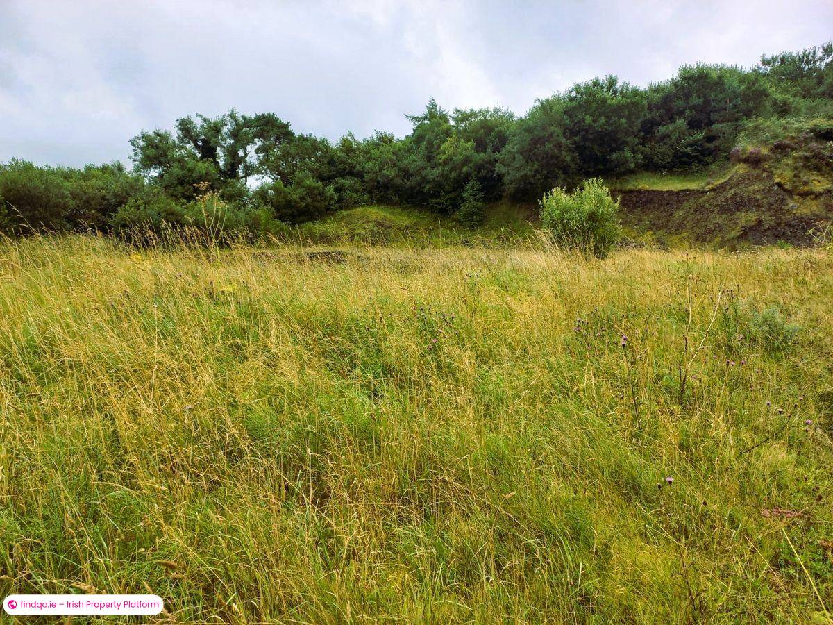Agricultural Land for Sale in Swinford, Mayo