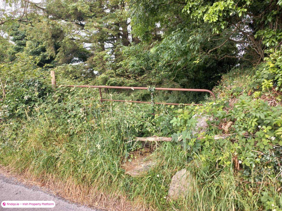Agricultural Land for Sale in Kiltimagh, Mayo