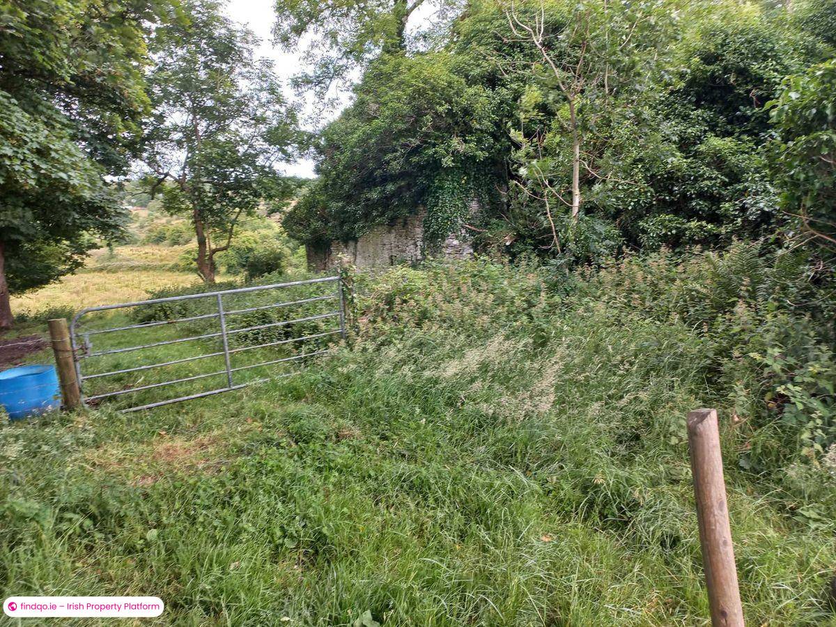 Agricultural Land for Sale in Kiltimagh, Mayo
