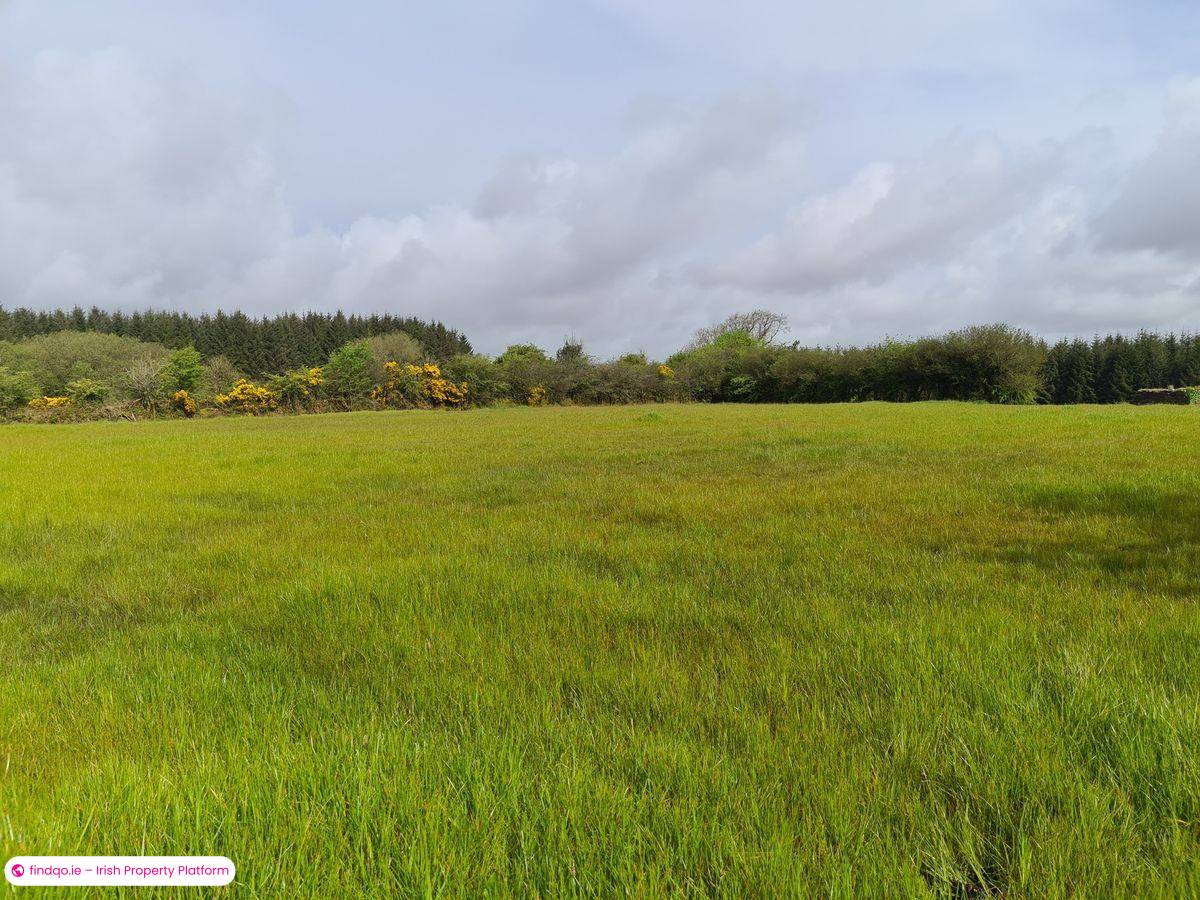 Buy Agricultural Land in Scenic Kilkelly Mayo