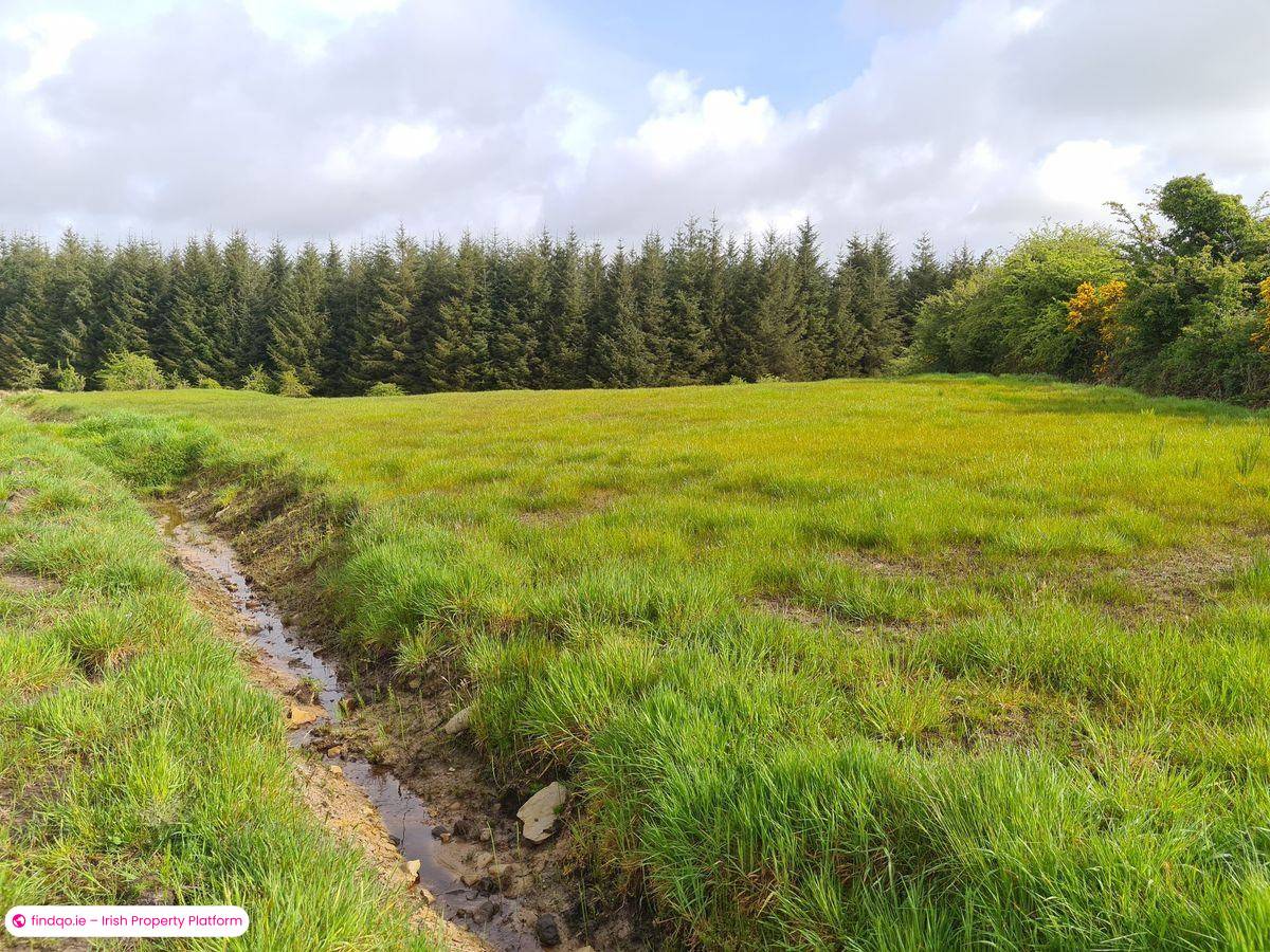 Agricultural Land for Sale in Kilkelly, Mayo