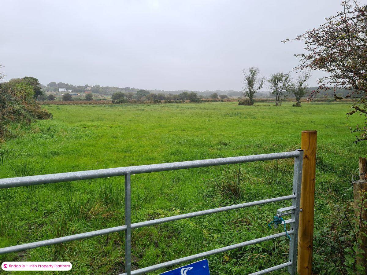 Agricultural Land for Sale in Charlestown, Mayo