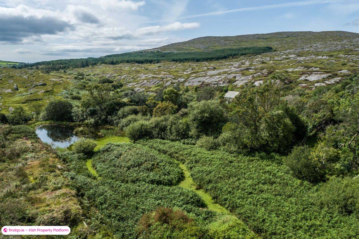Detached house for Sale in Dunmanus, Cork