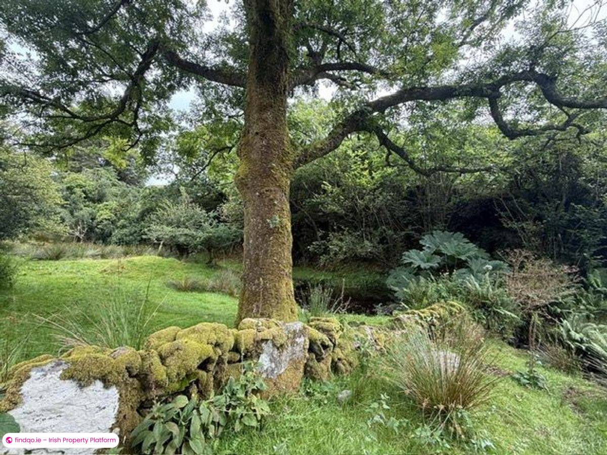 Detached house for Sale in Dunmanus, Cork