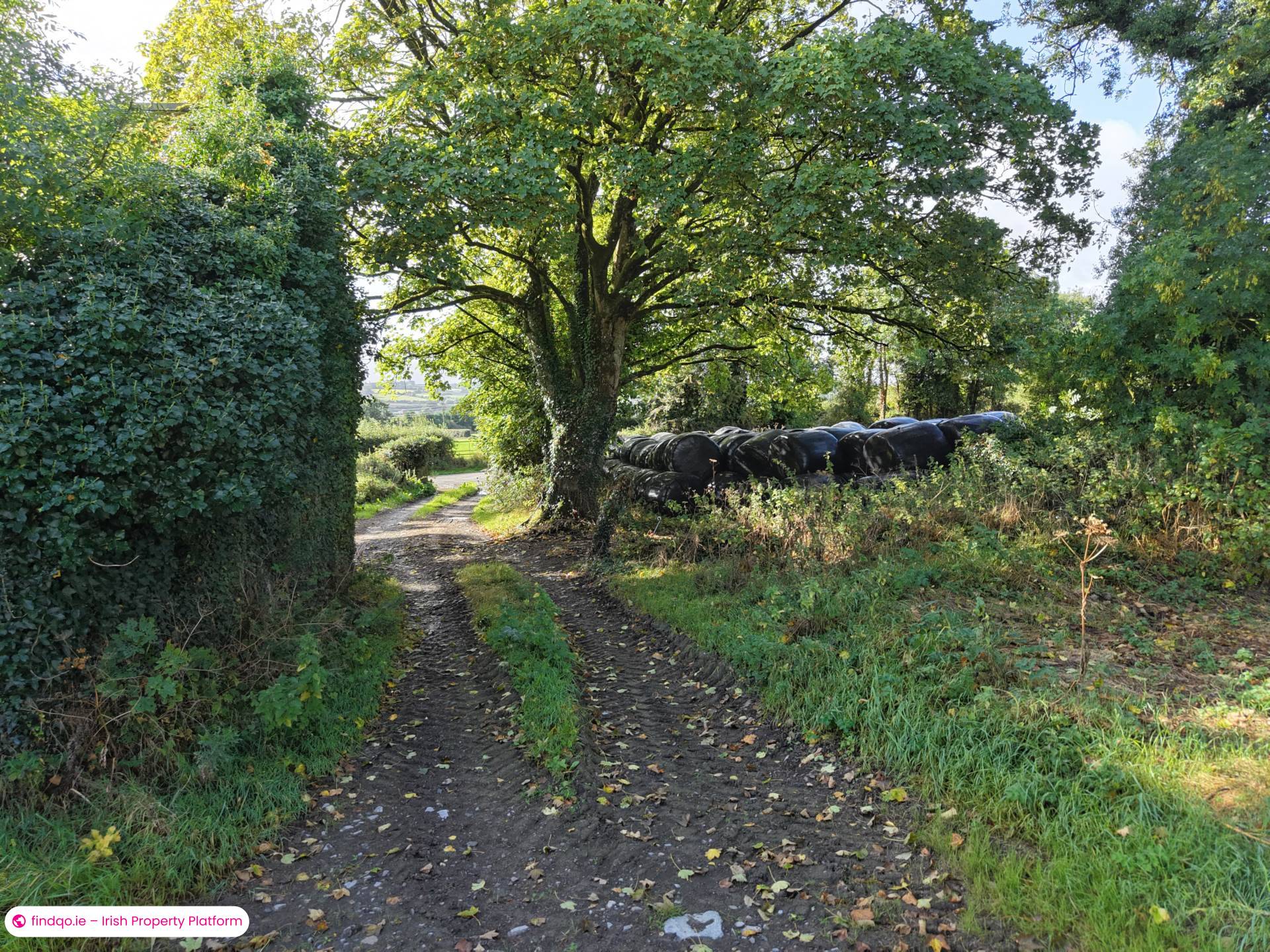 Agricultural Land for Sale in Drangan, Tipperary