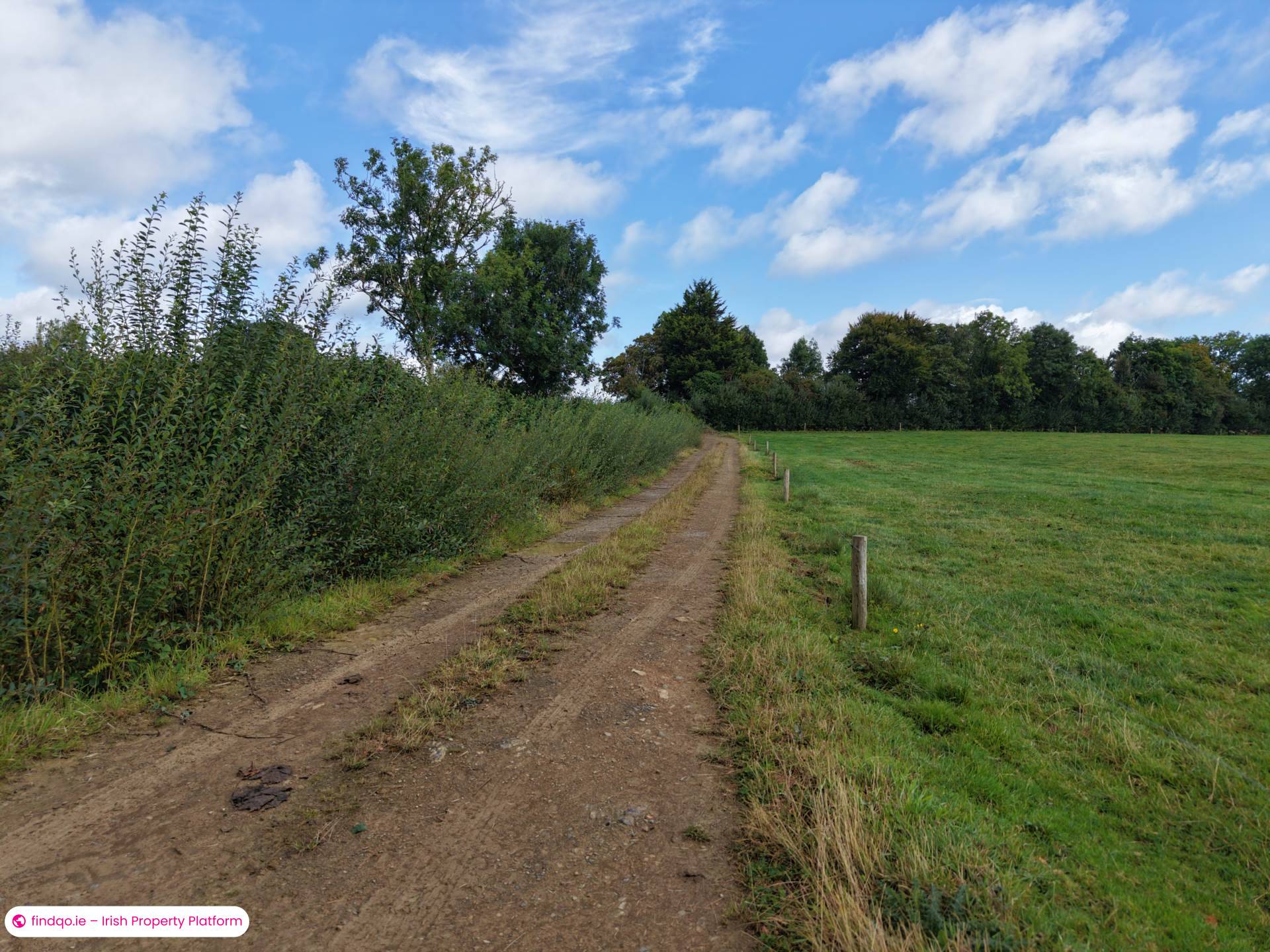 Agricultural Land for Sale in Drangan, Tipperary