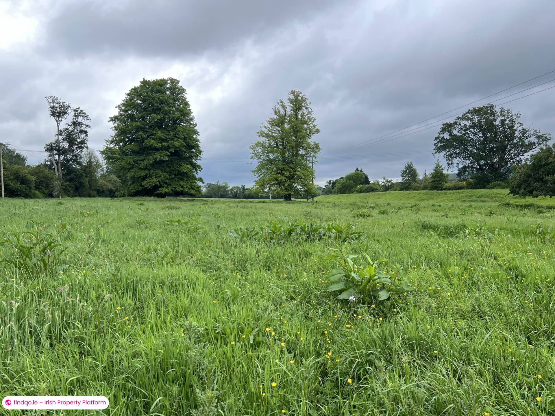 Agricultural Land for Sale in Clonmel, Tipperary