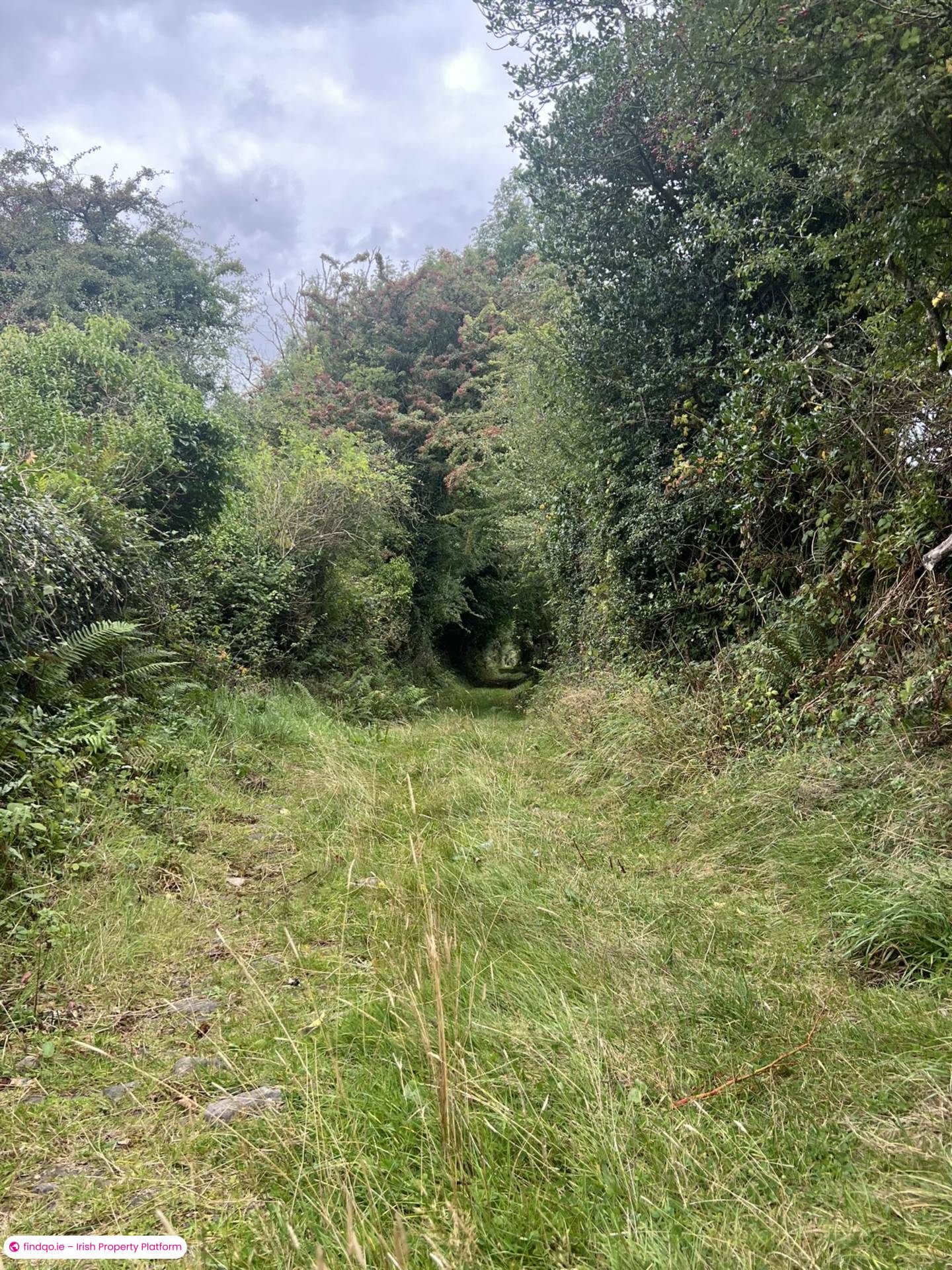 Agricultural Land for Sale in Fethard, Tipperary