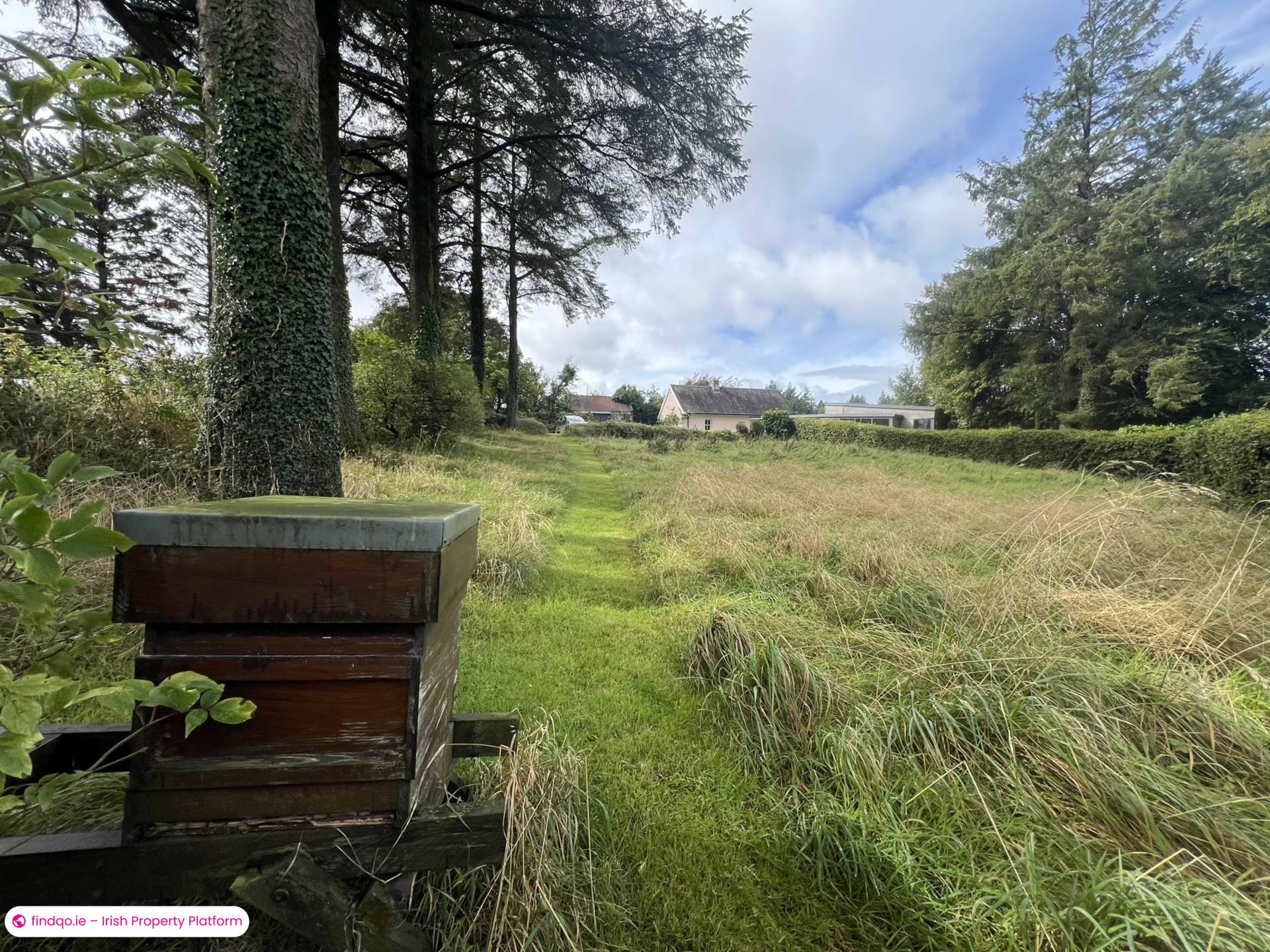 Property for Sale in Ballylanders, Limerick