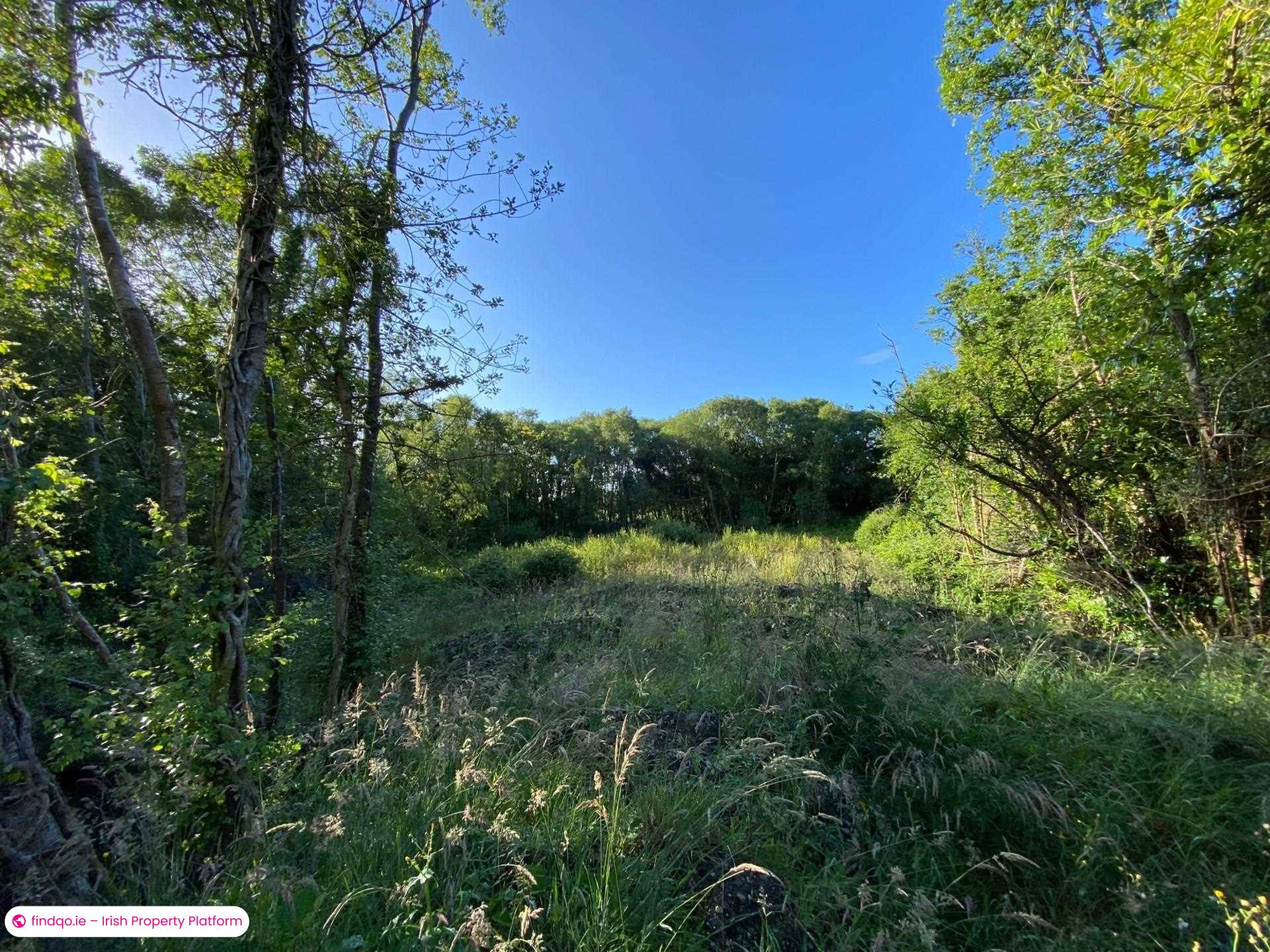Commercial Site for Sale in Oughterard, Galway