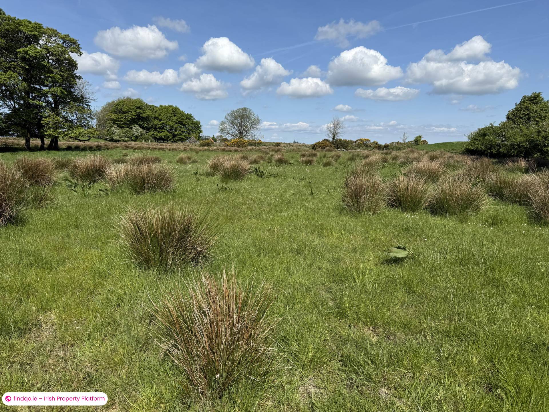 Site for Sale in Ballyhaunis, Mayo