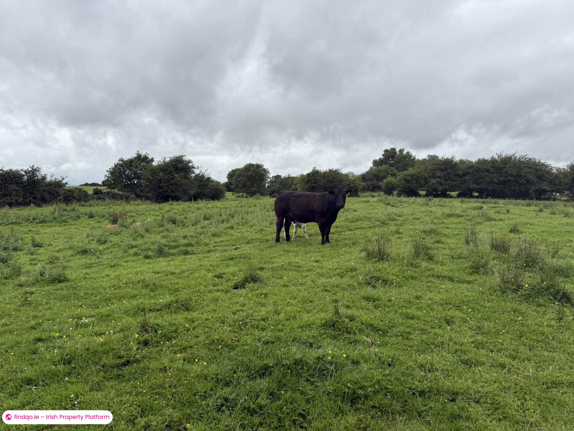 Bungalow for Sale in Claremorris, Mayo