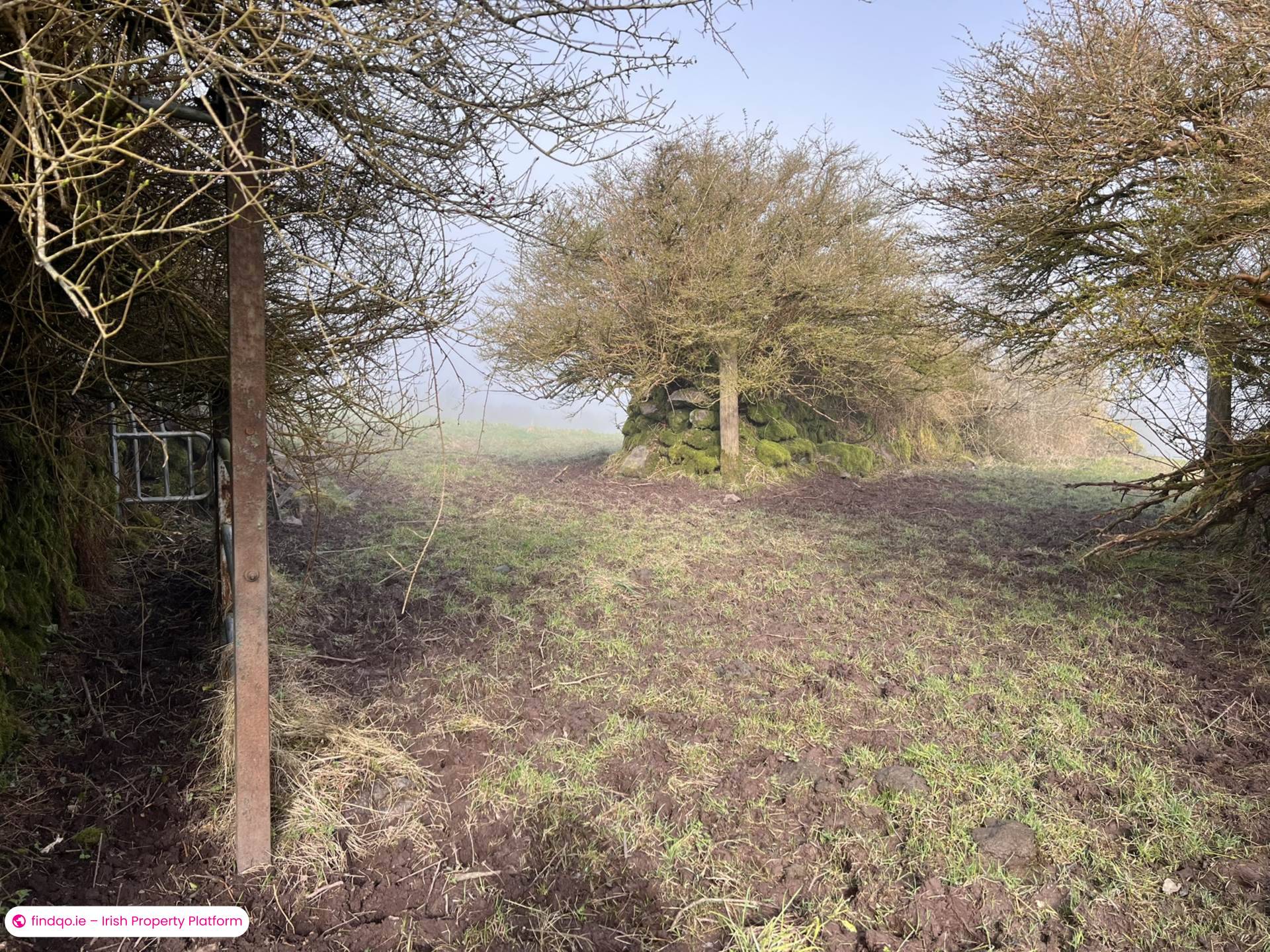 Agricultural Land for Sale in Ballymacarbry, Waterford
