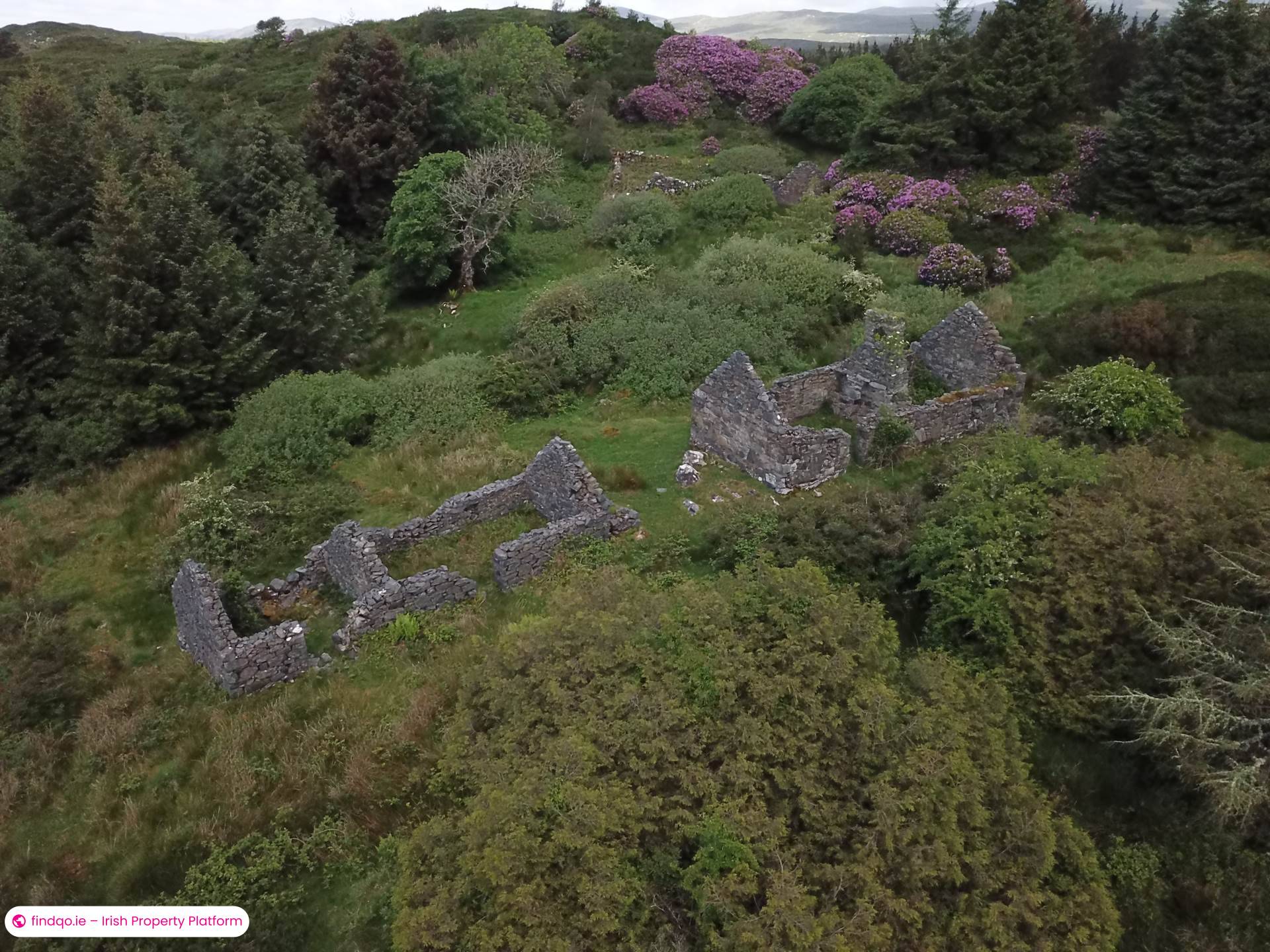 Agricultural Land for Sale in Ballynahinch, Down