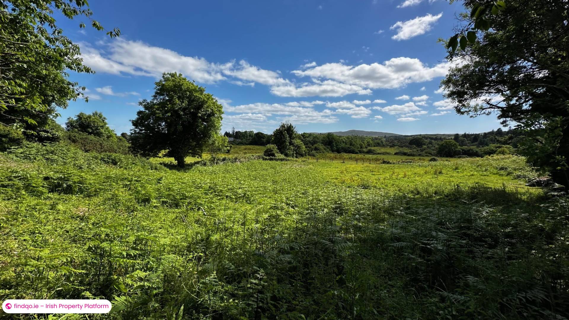 Detached house for Sale in Rosscahill, Galway, H91 X9CR