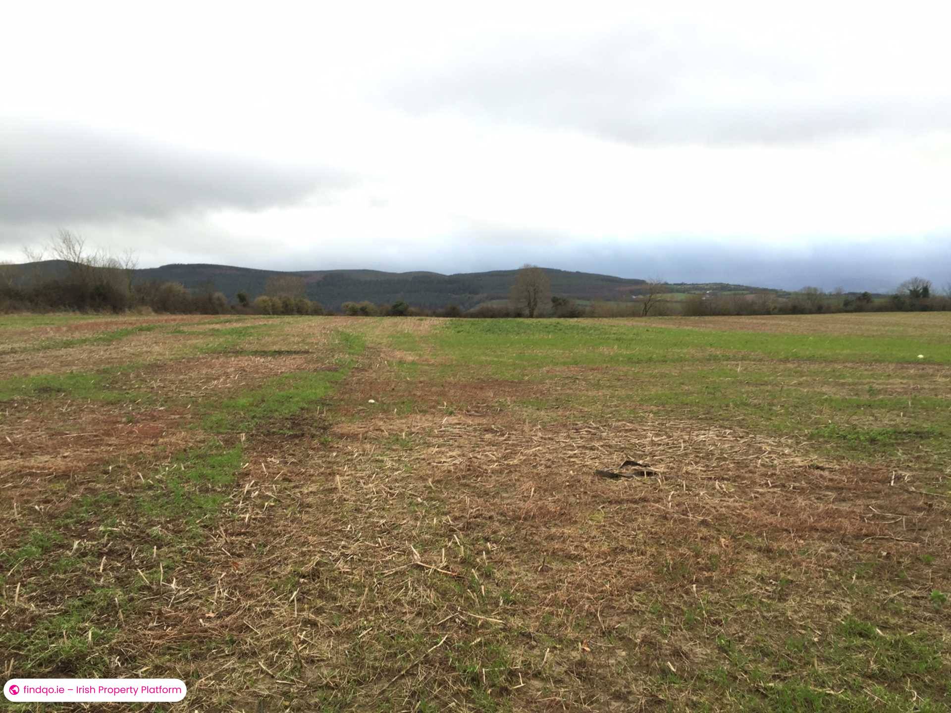 Commercial Site for Sale in Clonmel, Tipperary