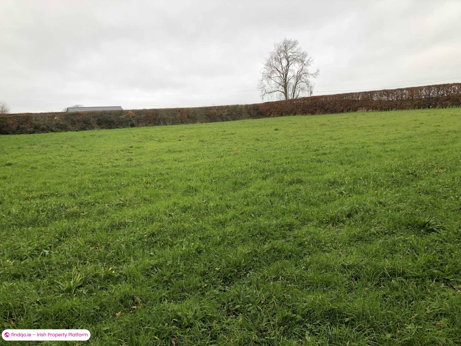 Commercial Site for Sale in Mullinahone, Tipperary