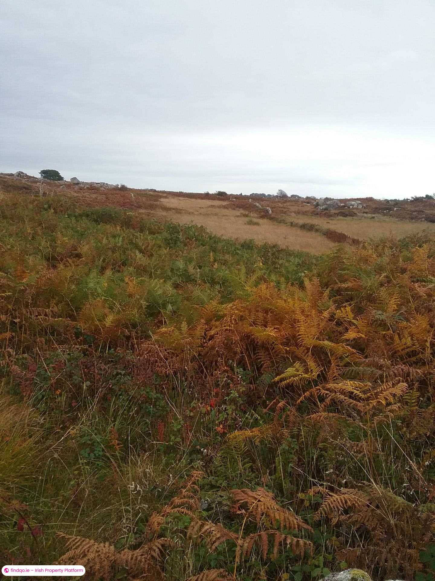 Commercial Site for Sale in Ballywilliam, Spiddal, Co. Galway.
