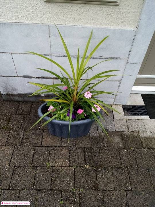 Terraced house for Sale in Ballyfarnon, Roscommon