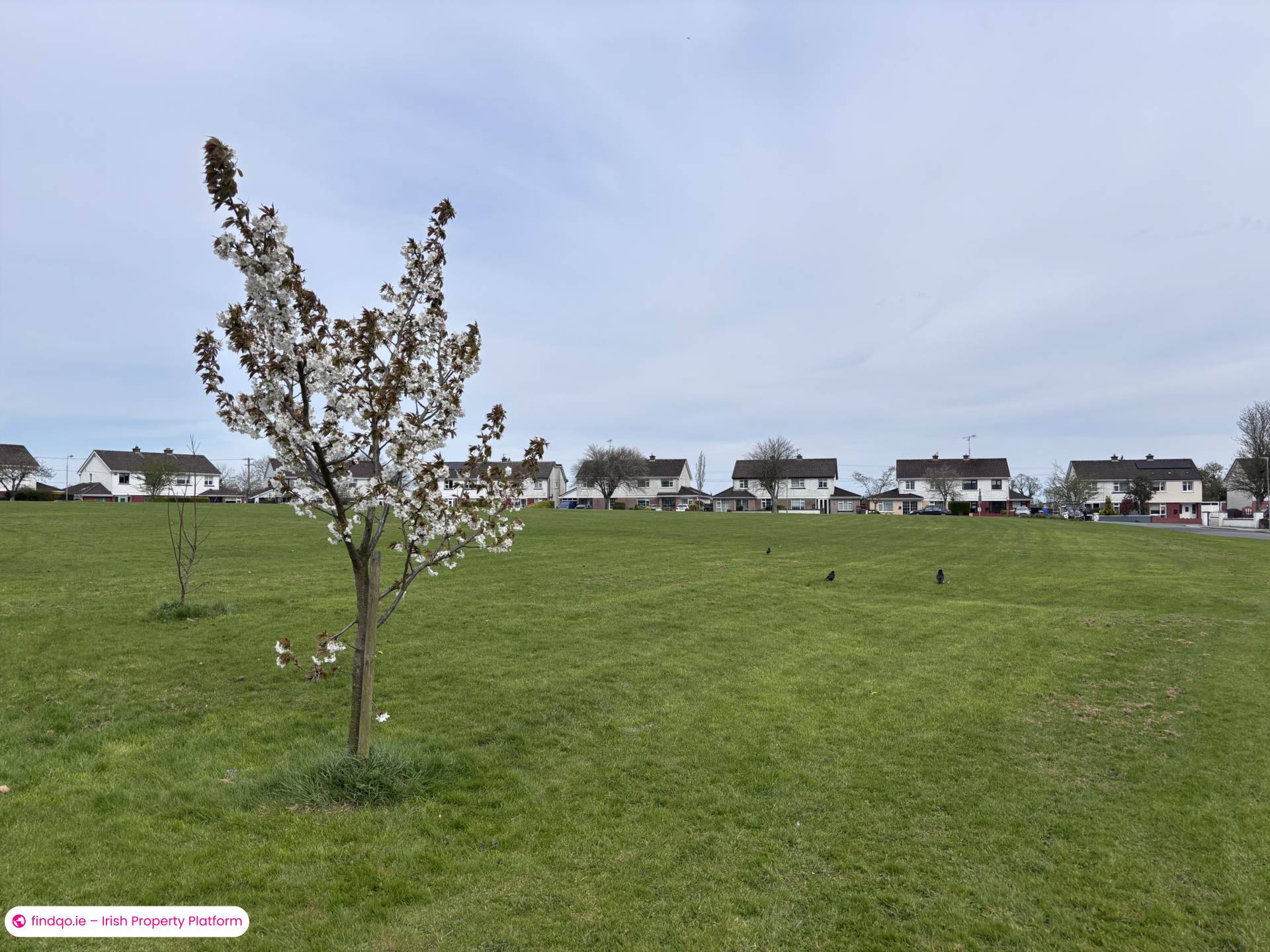 Semi-detached house for Sale in Navan, Meath