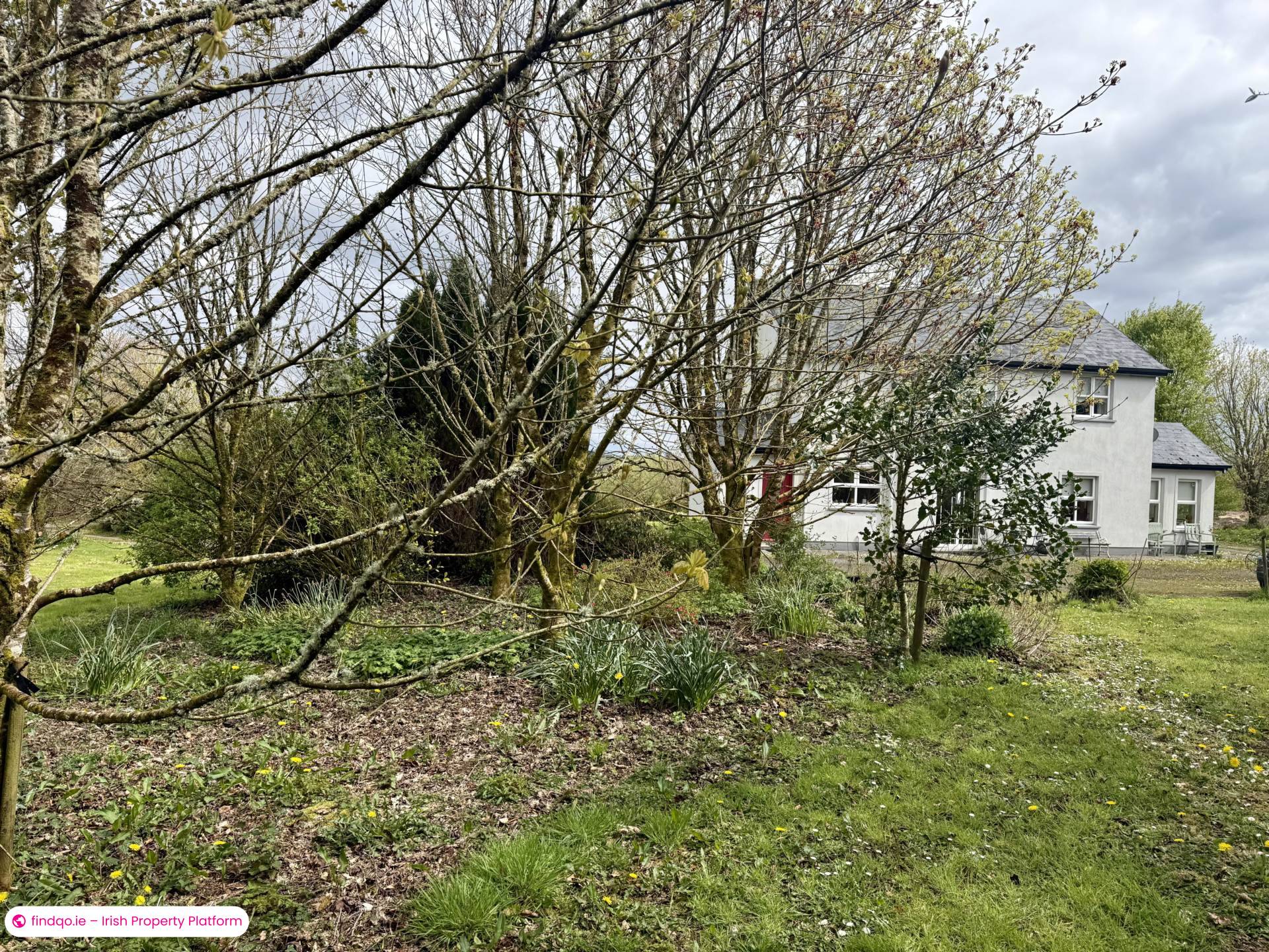Detached house for Sale in Ballyhaunis, Mayo