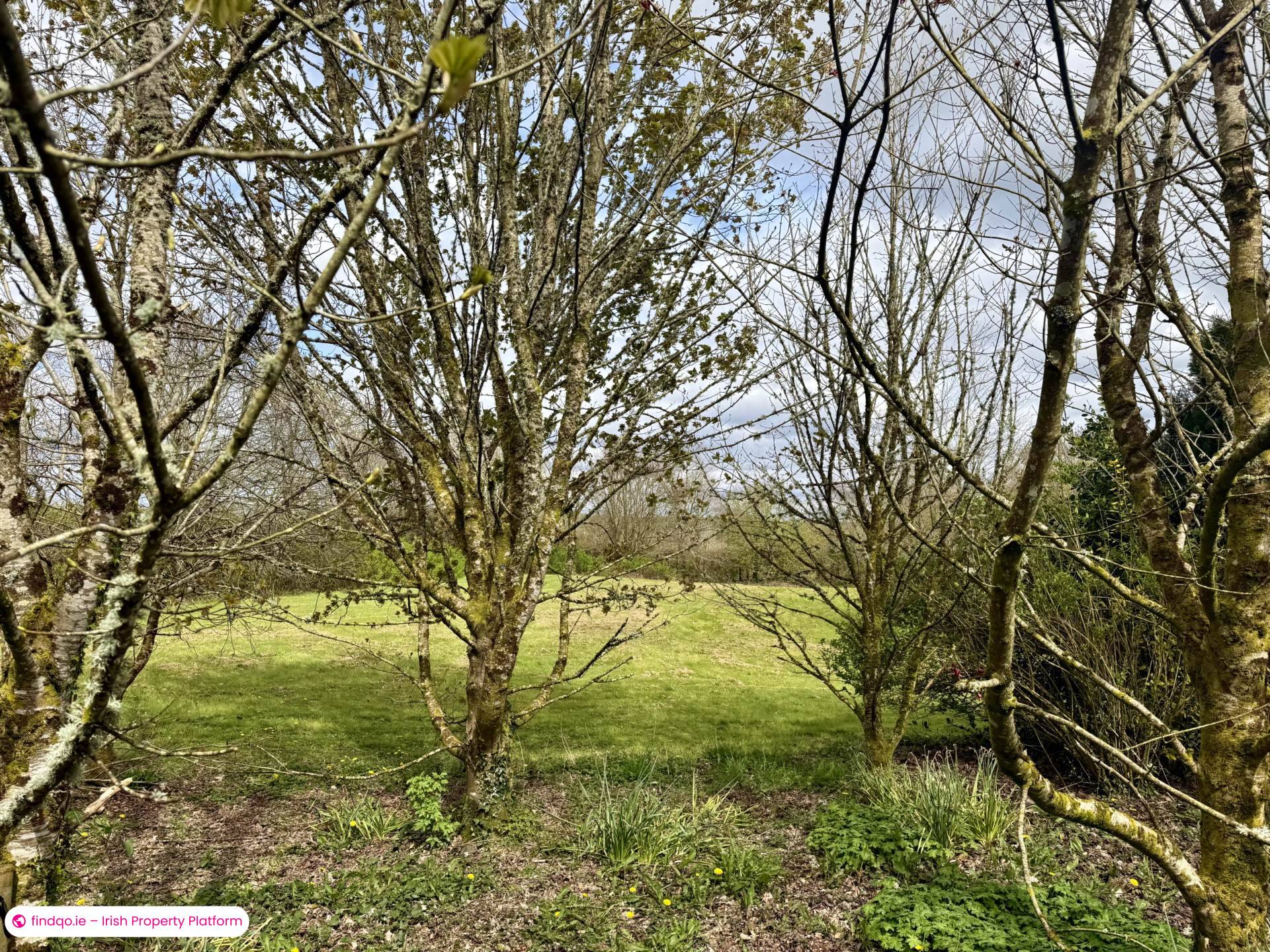 Detached house for Sale in Ballyhaunis, Mayo