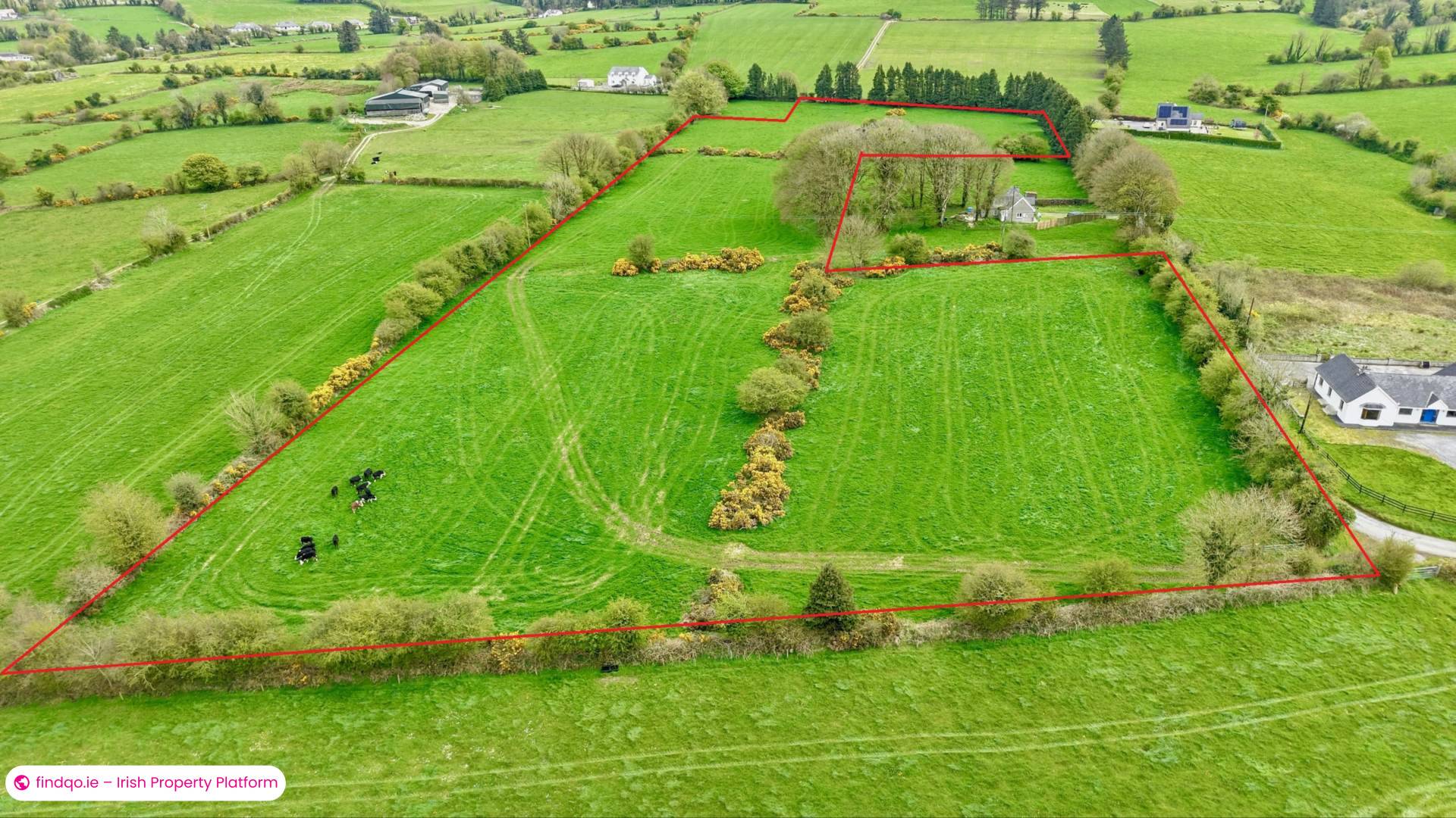 Agricultural Land for Sale in Kilmallock, Limerick