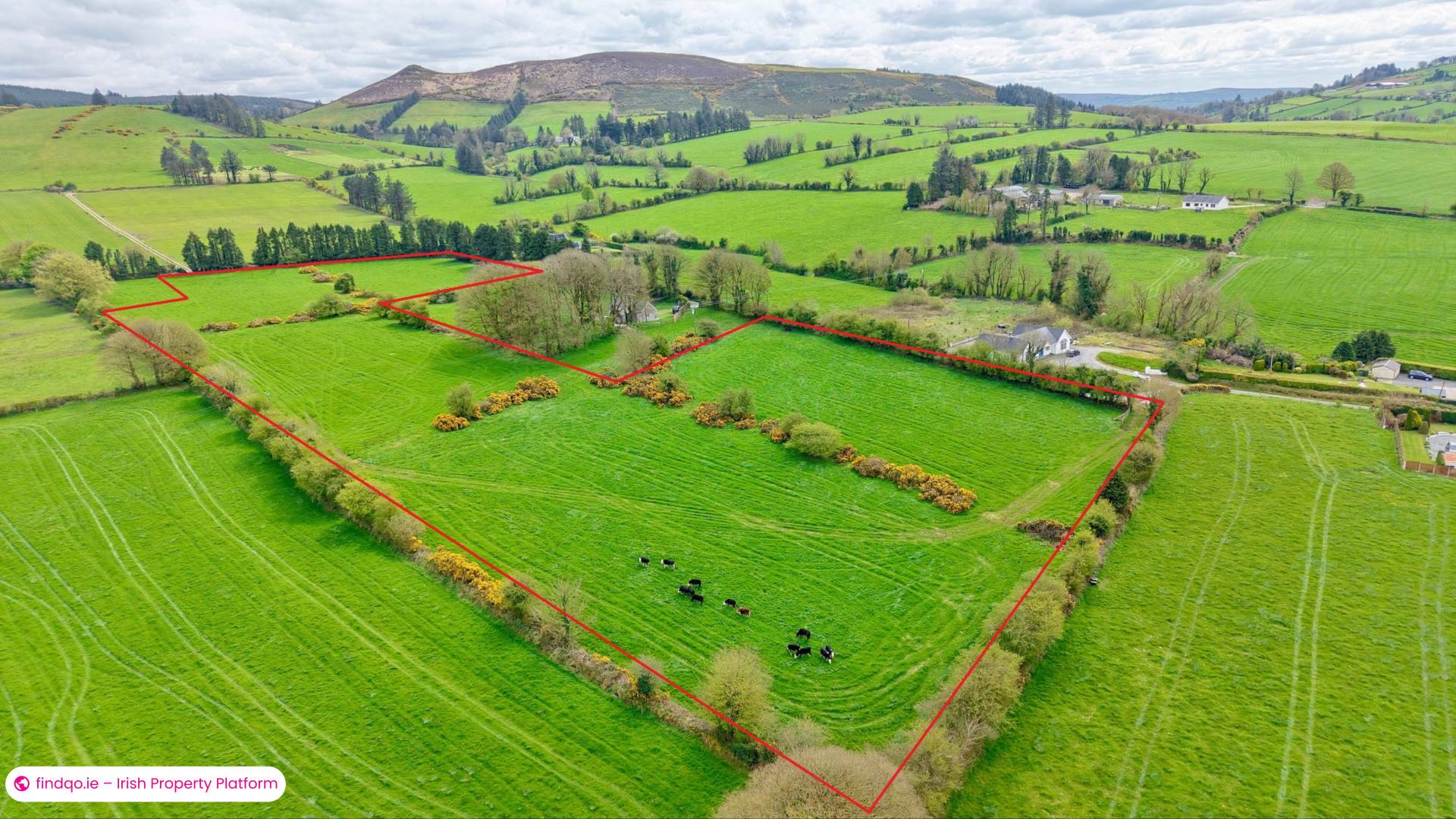Agricultural Land for Sale in Kilmallock, Limerick