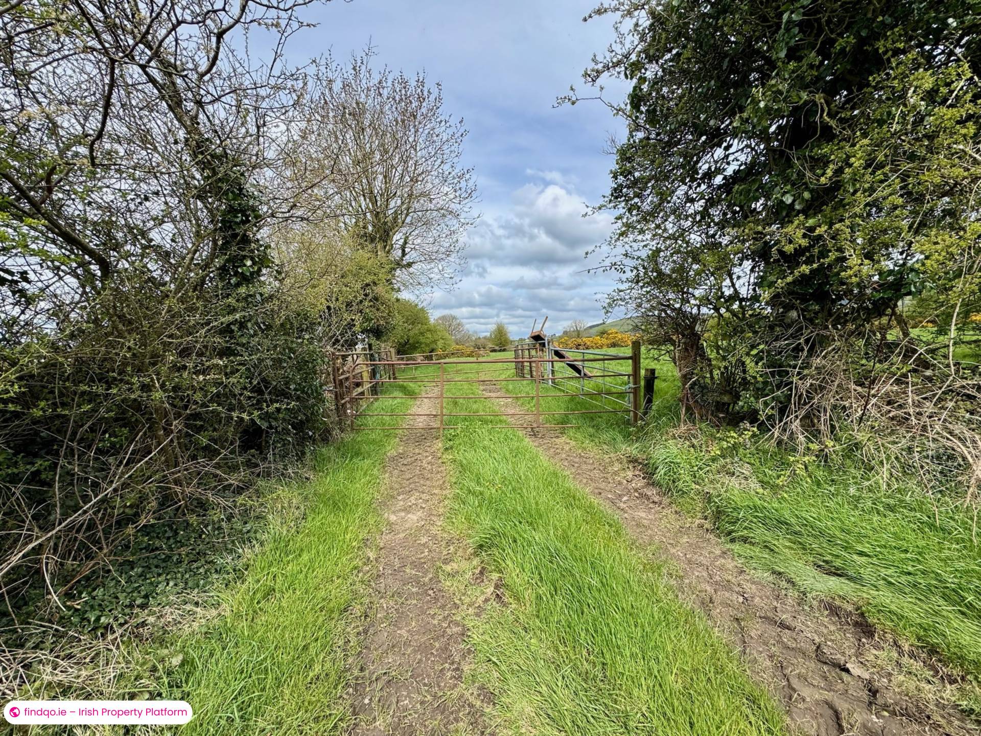Agricultural Land for Sale in Kilmallock, Limerick