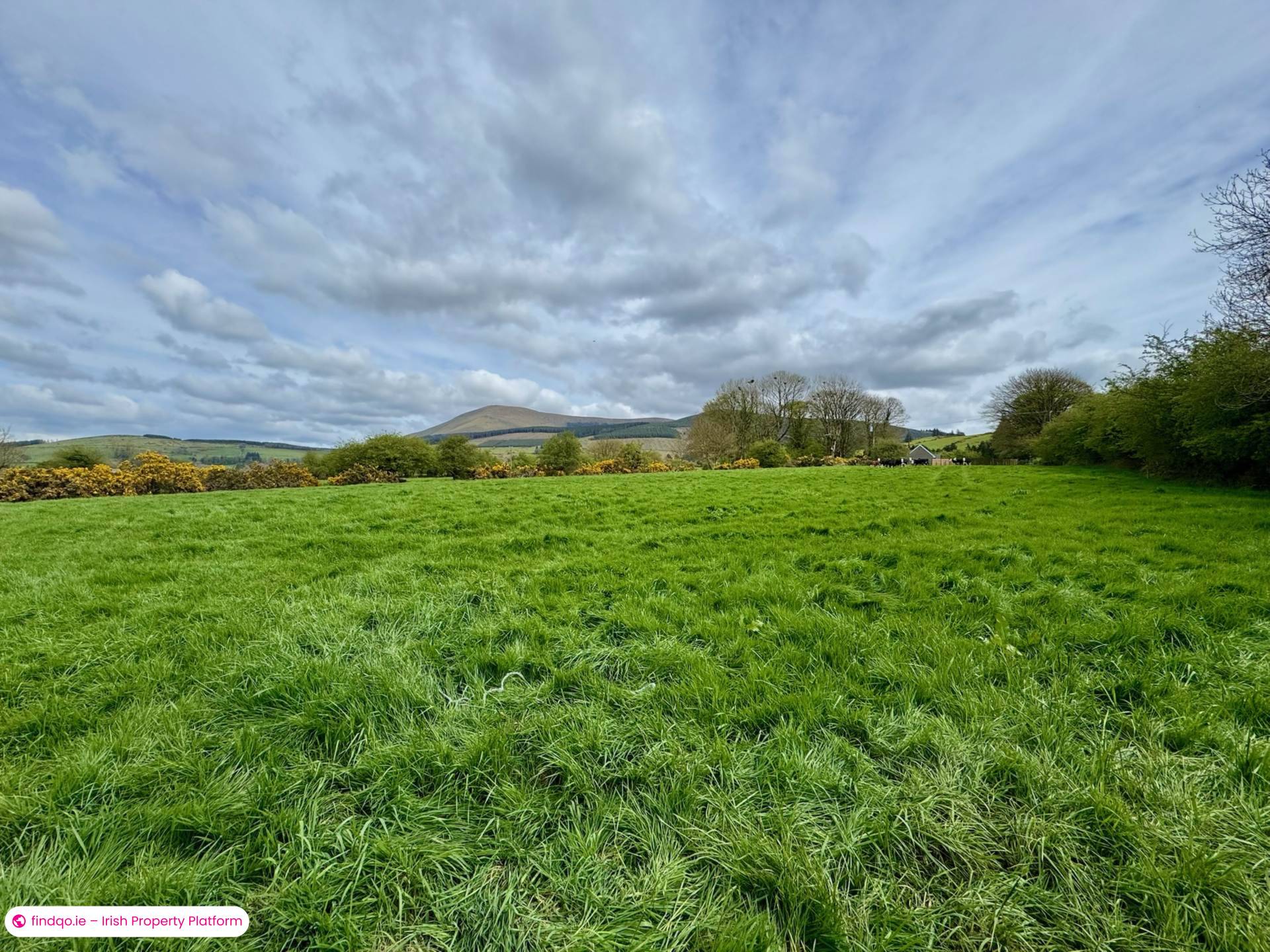 Agricultural Land for Sale in Kilmallock, Limerick