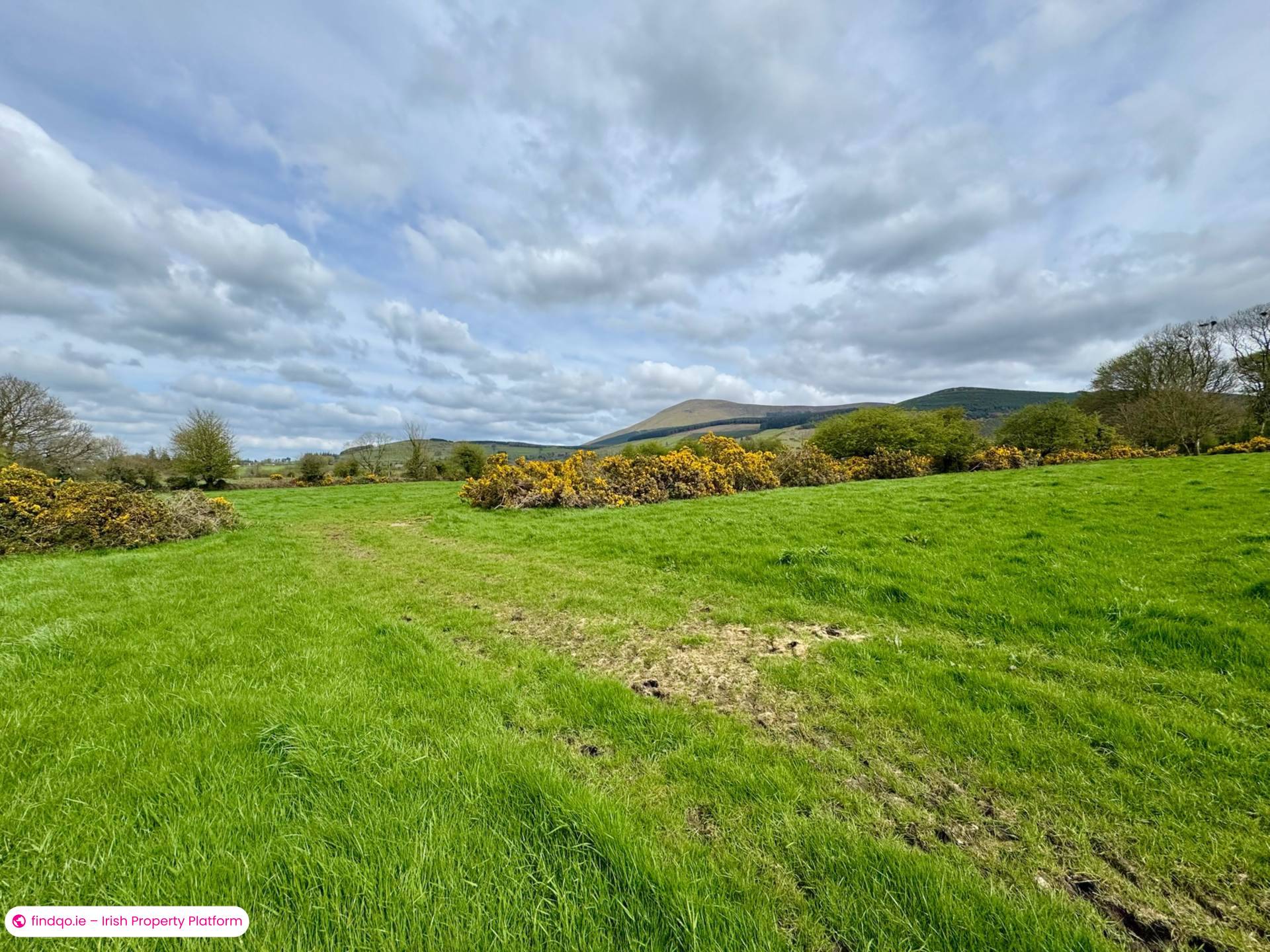 Agricultural Land for Sale in Kilmallock, Limerick