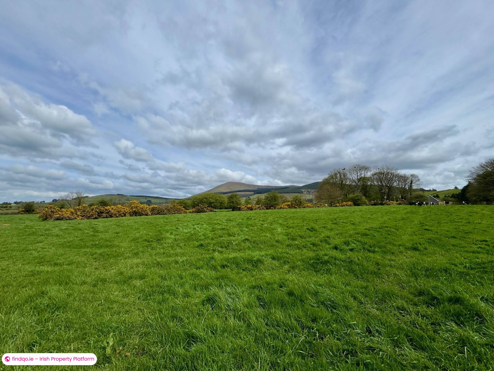Agricultural Land for Sale in Kilmallock, Limerick