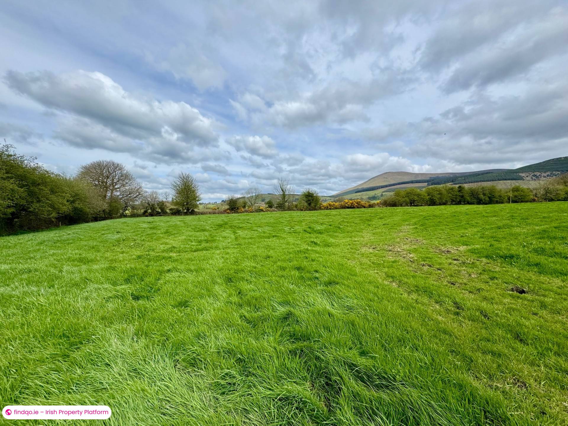 Agricultural Land for Sale in Kilmallock, Limerick