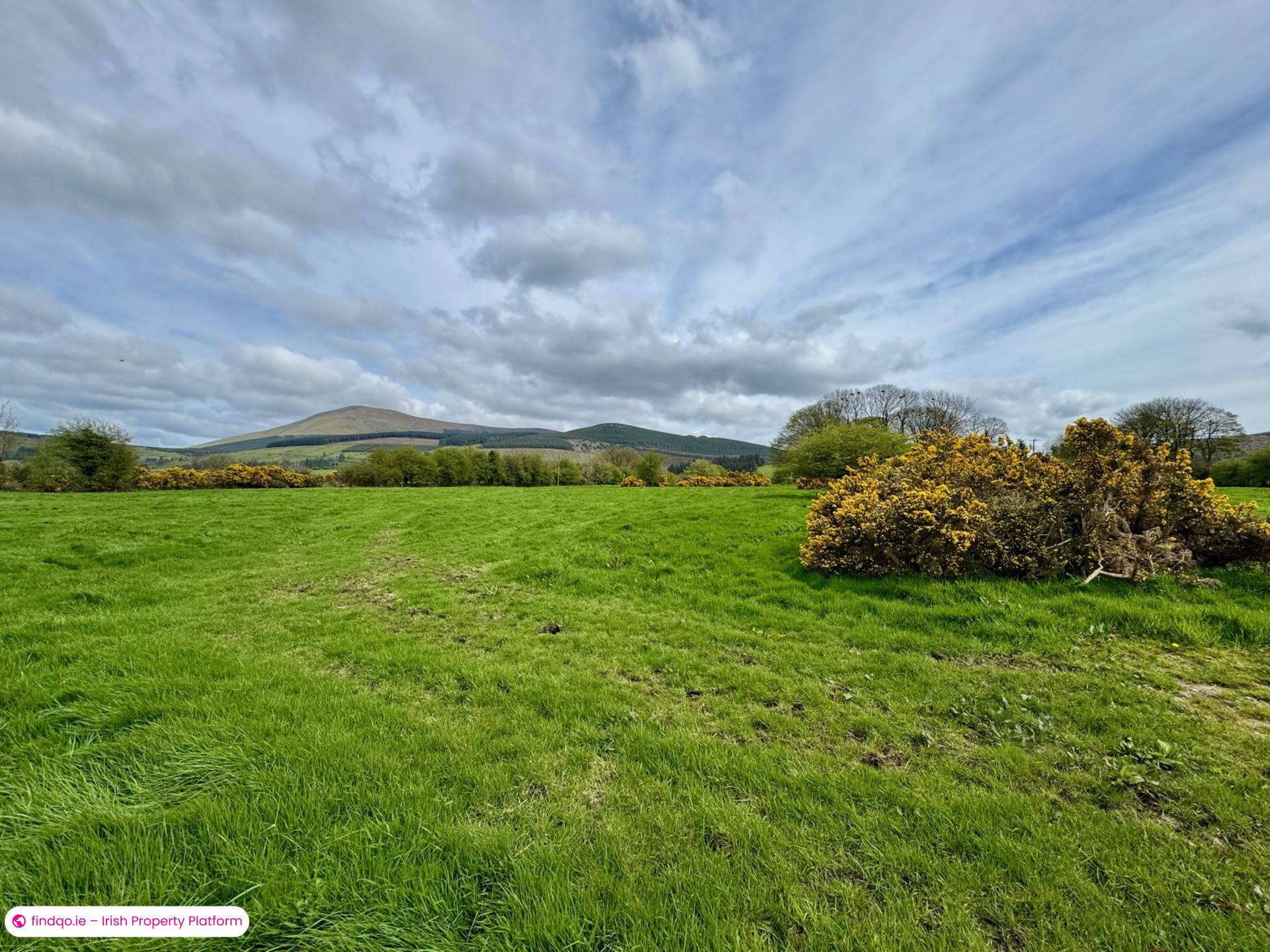 Agricultural Land for Sale in Kilmallock, Limerick