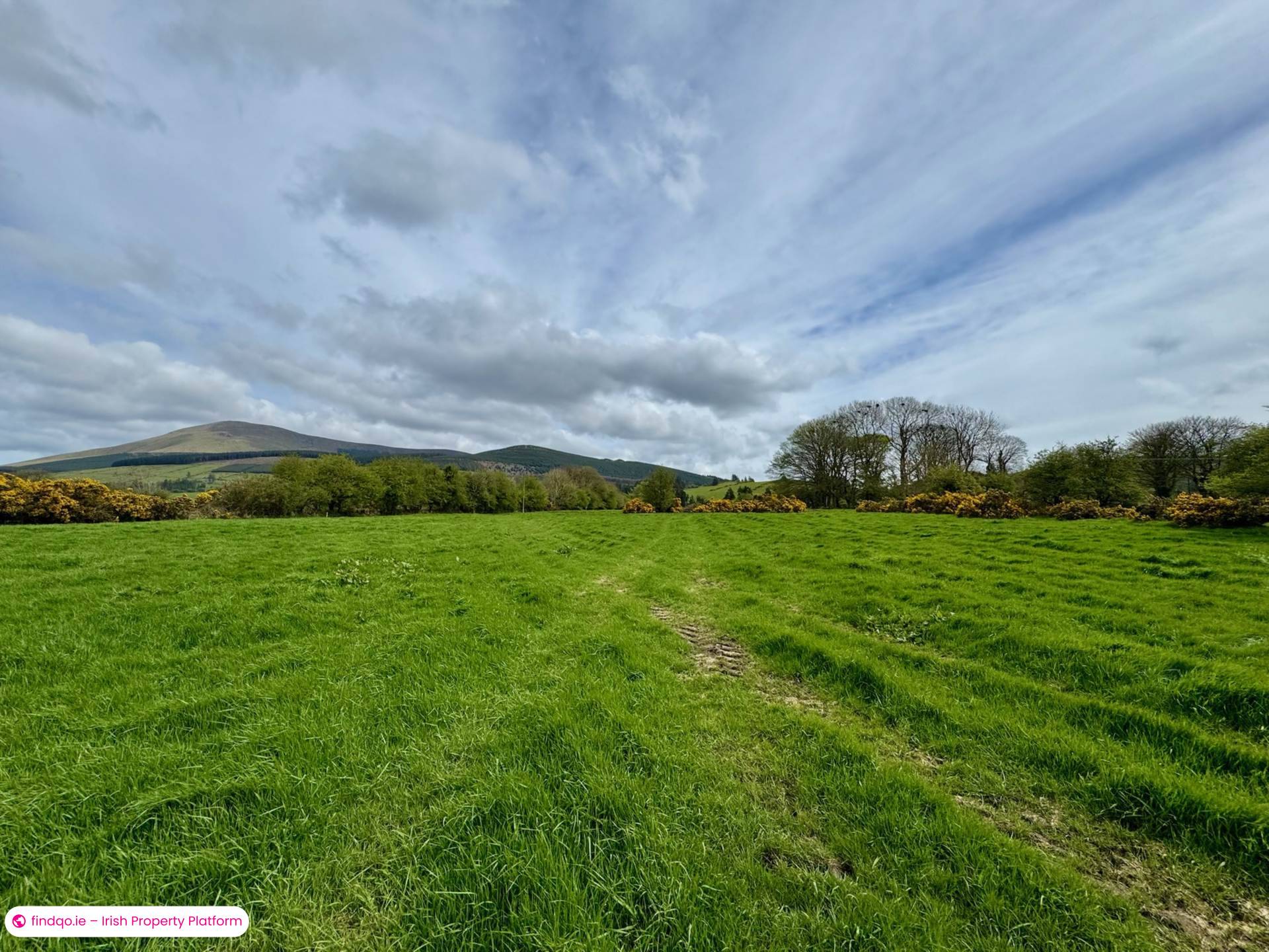 Agricultural Land for Sale in Kilmallock, Limerick