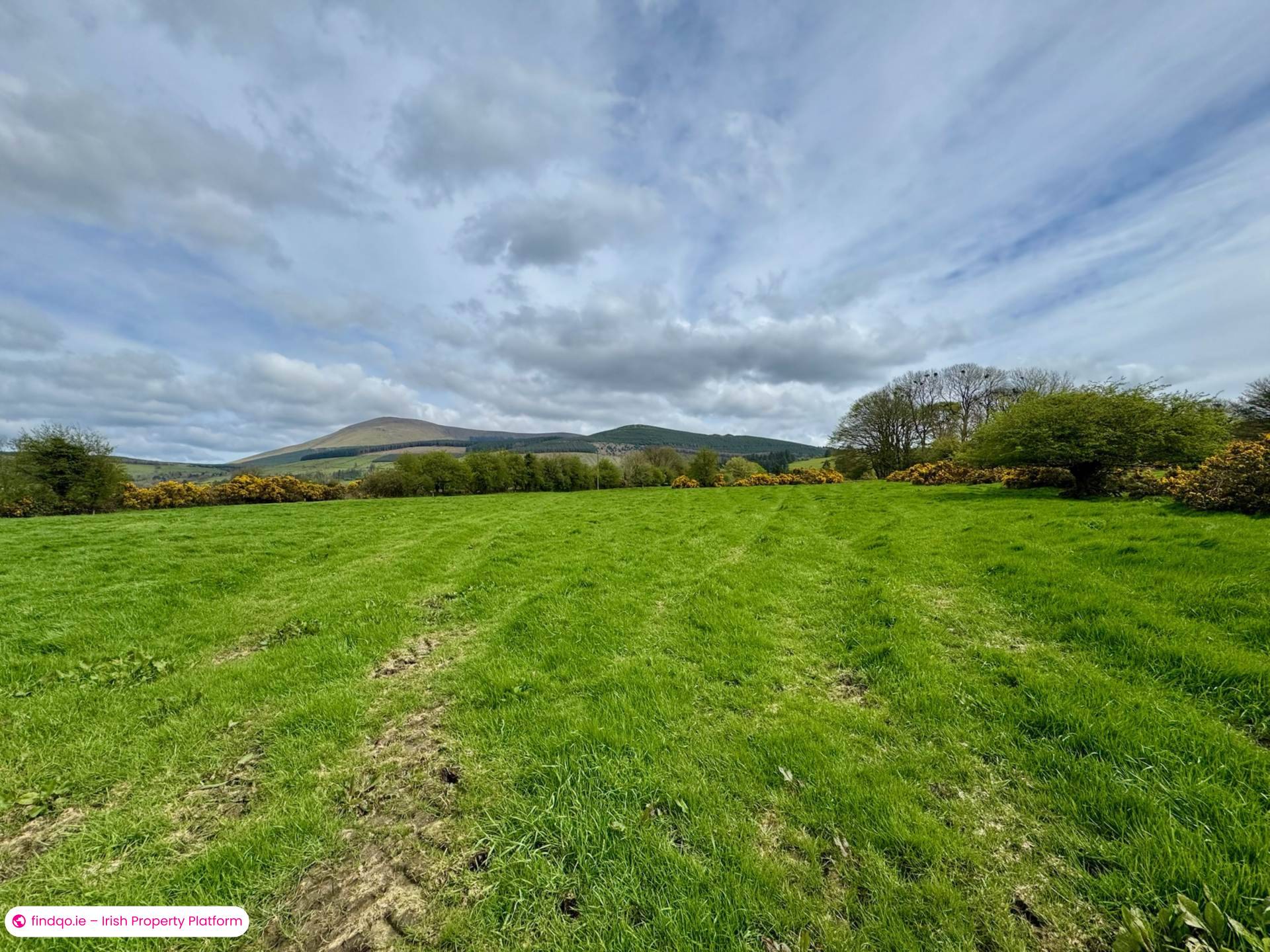 Agricultural Land for Sale in Kilmallock, Limerick