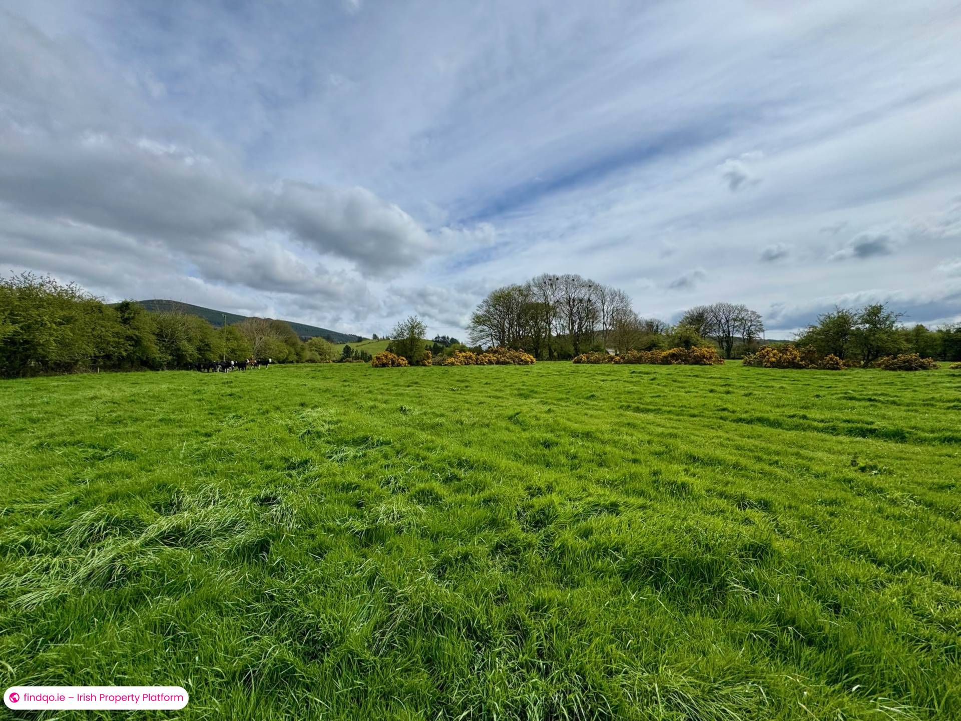 Agricultural Land for Sale in Kilmallock, Limerick