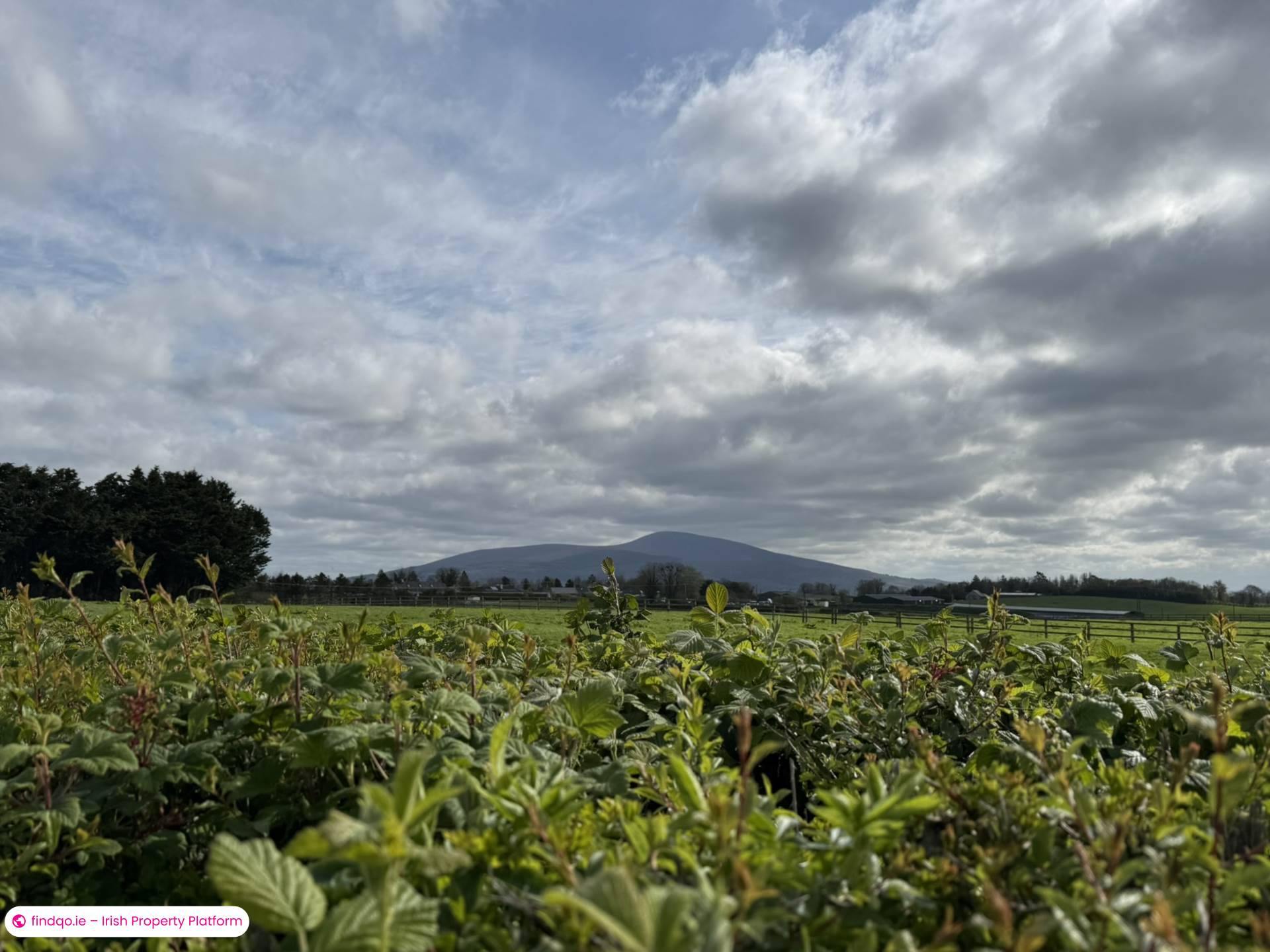 Bungalow for Sale in Clonmel, Tipperary