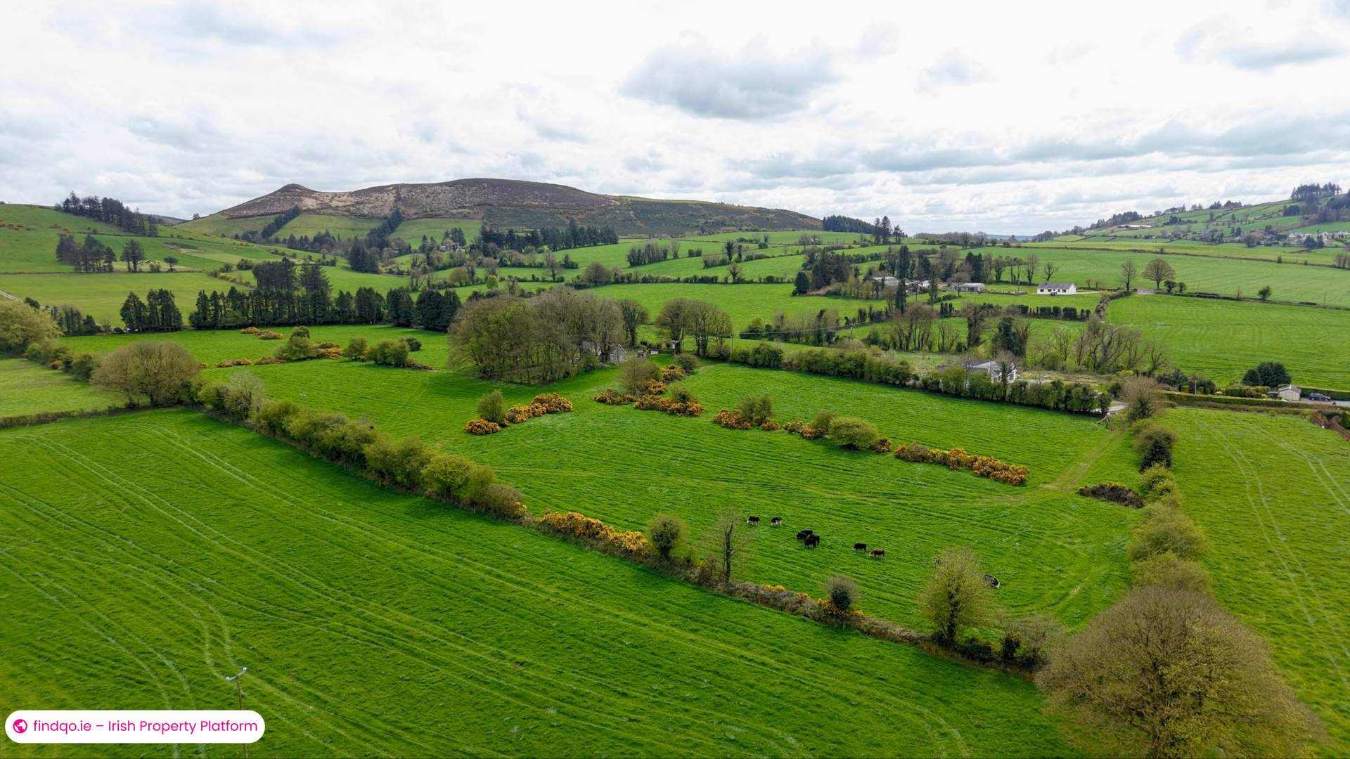 Site for Sale in Kilmallock, Limerick