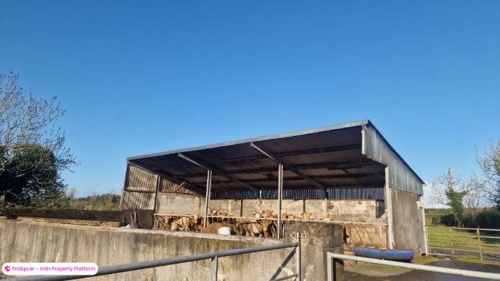 Agricultural Land for Sale in Castlerea, Roscommon
