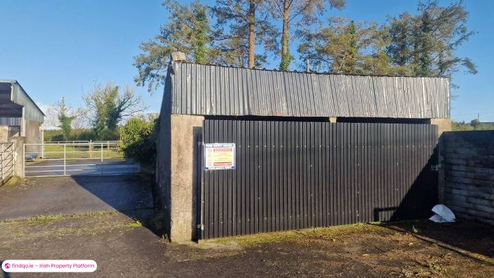 Agricultural Land for Sale in Castlerea, Roscommon