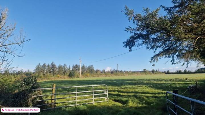Agricultural Land for Sale in Castlerea, Roscommon