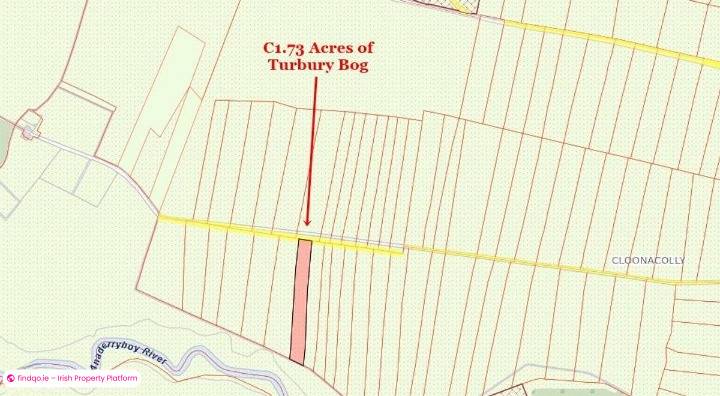 Agricultural Land for Sale in Lisacul, Roscommon