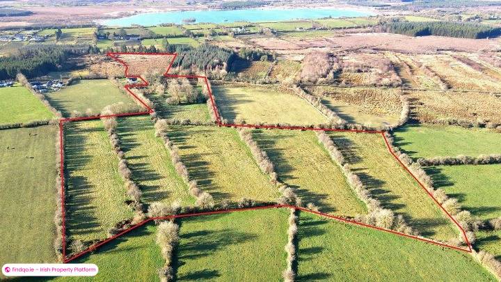 Agricultural Land for Sale in Lisacul, Roscommon