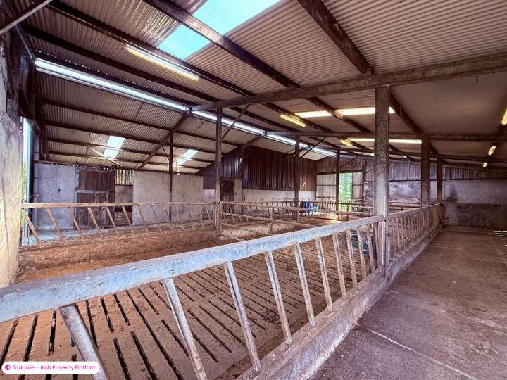 Agricultural Land for Sale in Galway City Centre, Galway