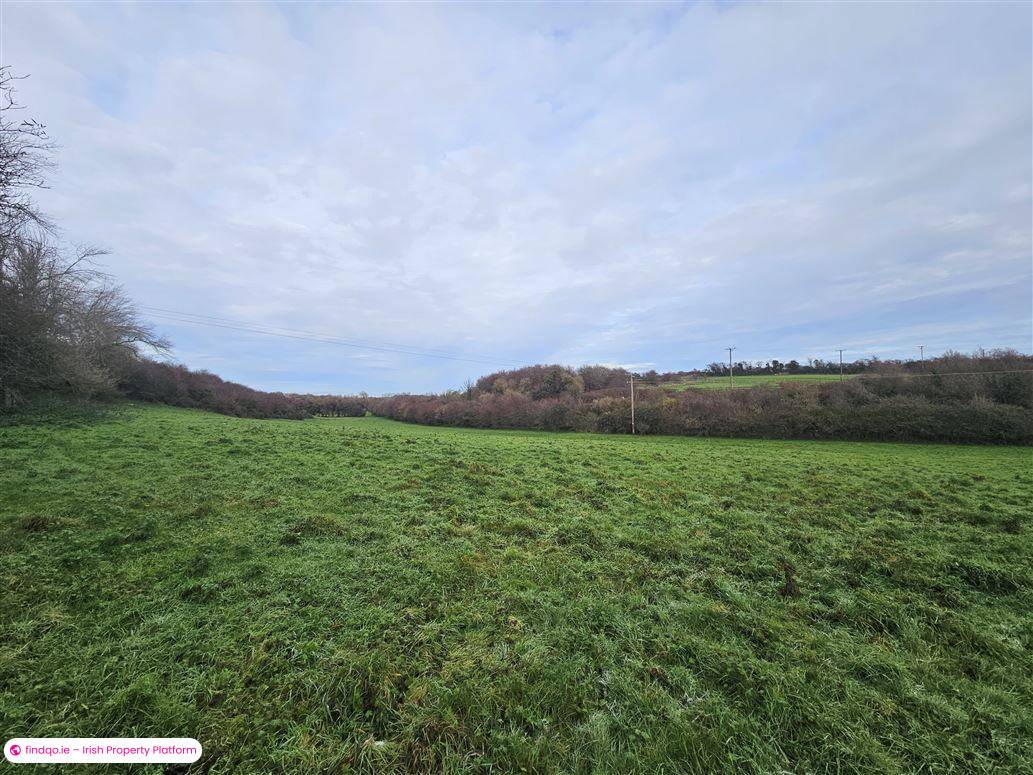 Site for Sale in Newbridge, Kildare